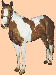 american paint horse.gif